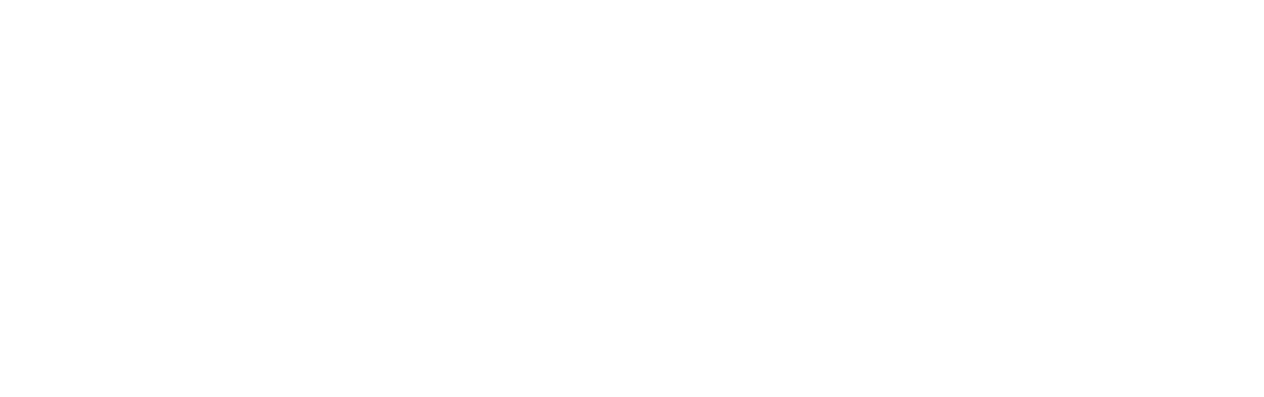Malek Abdelaziz University